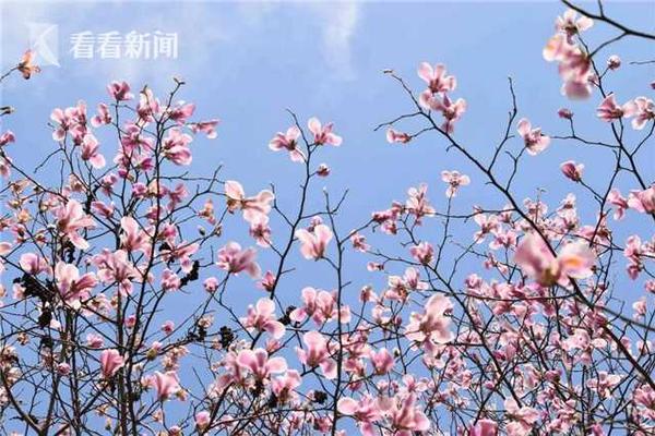 【成品短視頻app下載有哪些】云天安全：爭做大數(shù)據(jù)和智能年代安全領(lǐng)航者